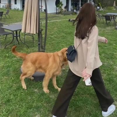 湖畔传说